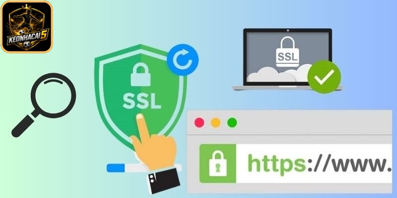 Chính Sách Bảo Mật Keonhacai - Cập Nhật Mới Nhất 2026 3 Quyền của người dùng về chính sách bảo mật Keonhacai