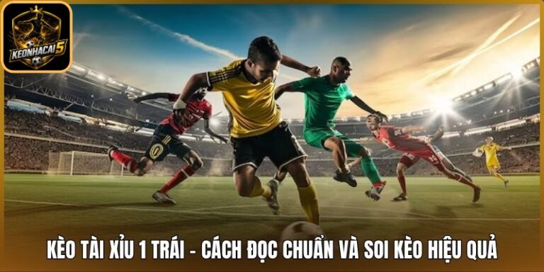 Kèo Tài Xỉu 1 Trái - Cách Đọc Chuẩn Và Soi Kèo Hiệu Quả 1 Kèo tài xỉu 1 trái