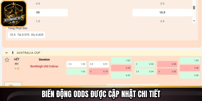 Tỷ Lệ Kèo Keonhacai - Cập Nhật Chuẩn Xác Từng Biến Động 66 Biến động Odds được cập nhật chi tiết