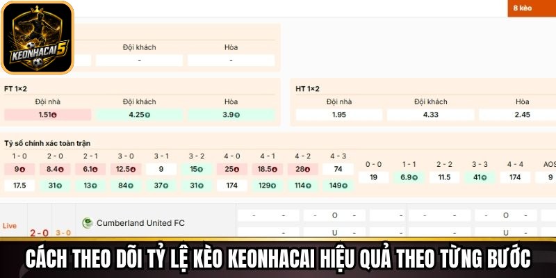 Tỷ Lệ Kèo Keonhacai - Cập Nhật Chuẩn Xác Từng Biến Động 72 Cách theo dõi tỷ lệ kèo Keonhacai hiệu quả theo từng bước